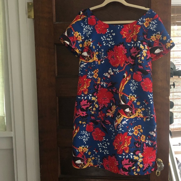 Tracy Reece short sleeve colorful dress - Picture 2 of 6